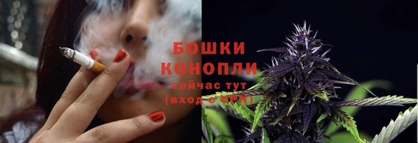 ALPHA PVP Гусев