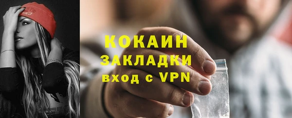 ALPHA PVP Гусев