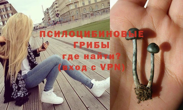 ALPHA PVP Гусев